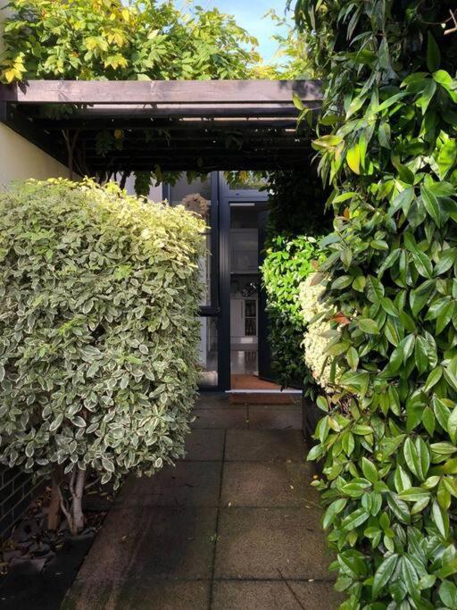 Private Garden Oasis In Central Bristol Exterior photo